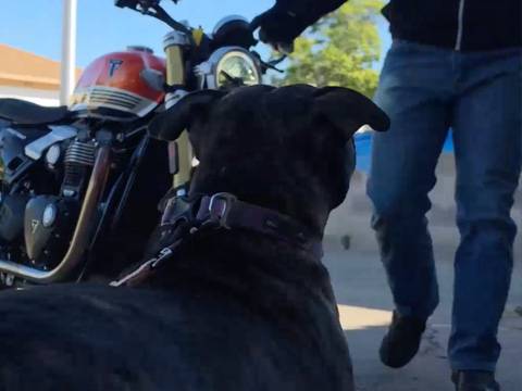 NMDOT MotoSafe